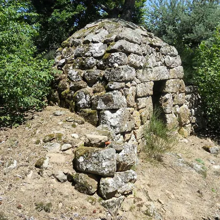 Le Peuplier Boisset (Haute-Loire)